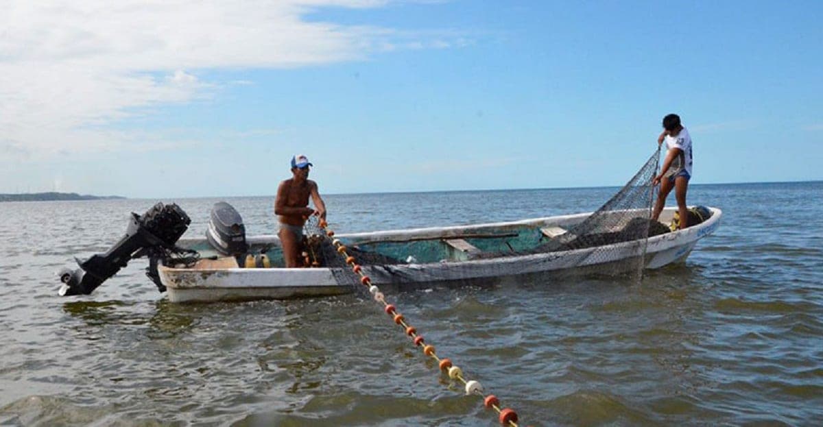 Impulsan sellos de calidad sostenible para productos mexicanos del mar