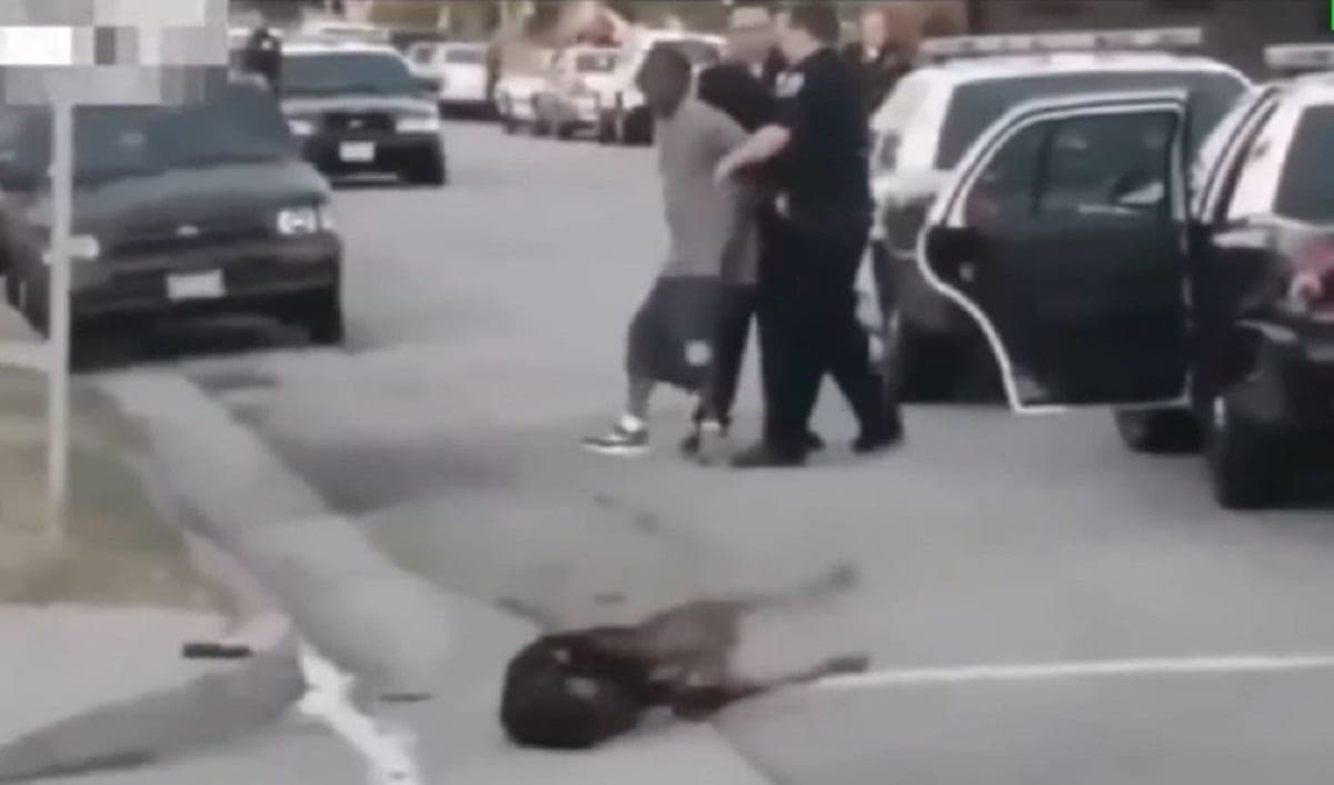 VIDEO: Policías balean a perro por defender a su dueño de una detención