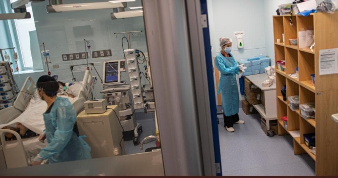 Anticuerpos tras infección natural por Covid pueden durar hasta 1 año