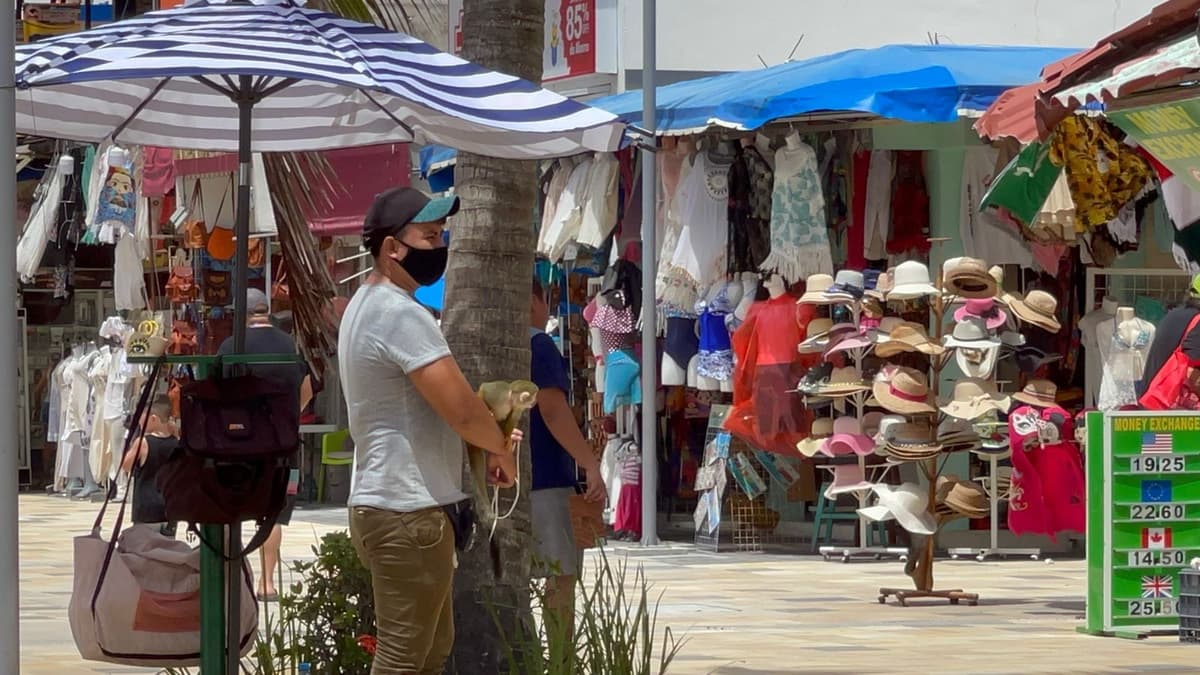 A LA VISTA DE TODOS: Regresa explotación de animales silvestres en la Quinta Avenida