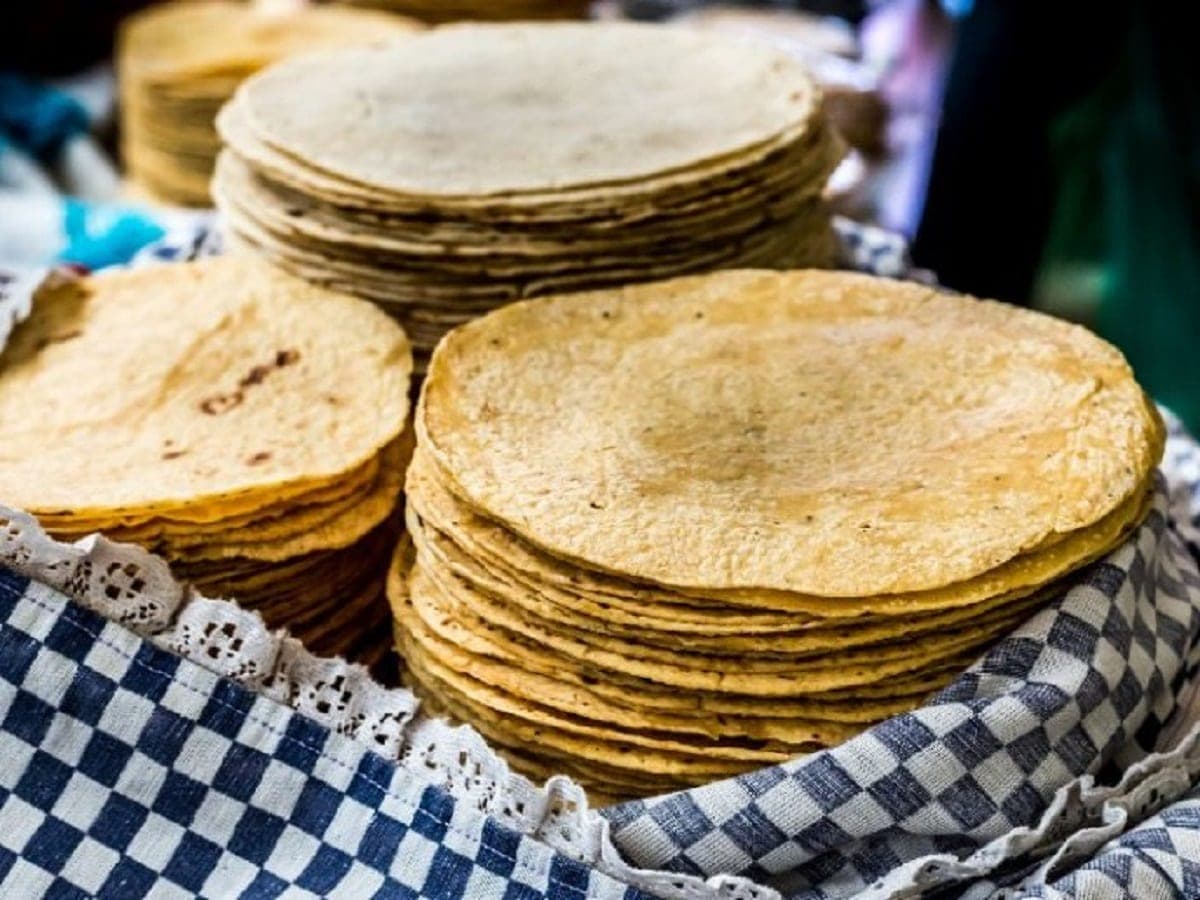Urgente llamado a Profeco: alza de insumos provocará encarecimiento histórico de la tortilla