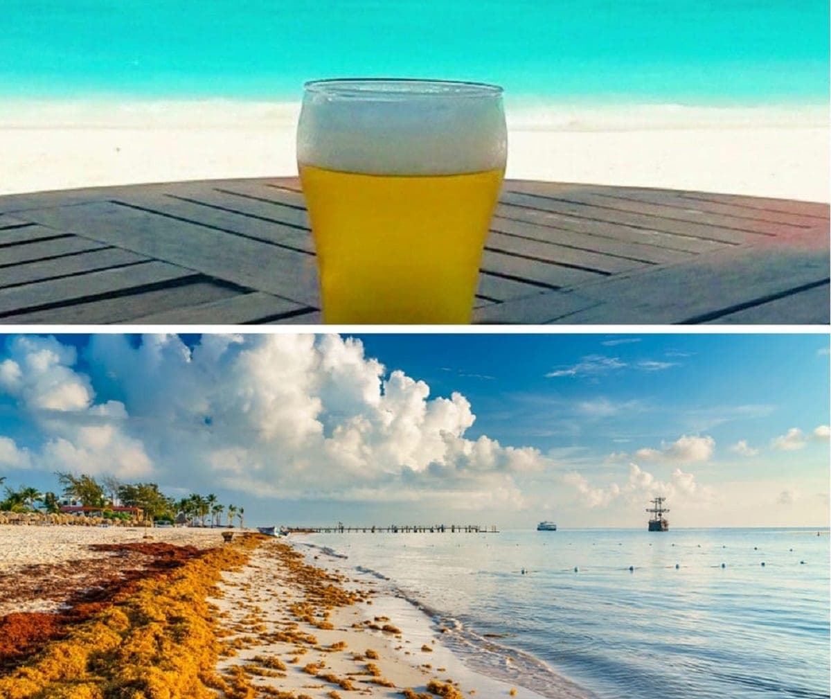 Cambiarán bolsas con sargazo por cerveza, bebida o comida en club de playa de Cozumel