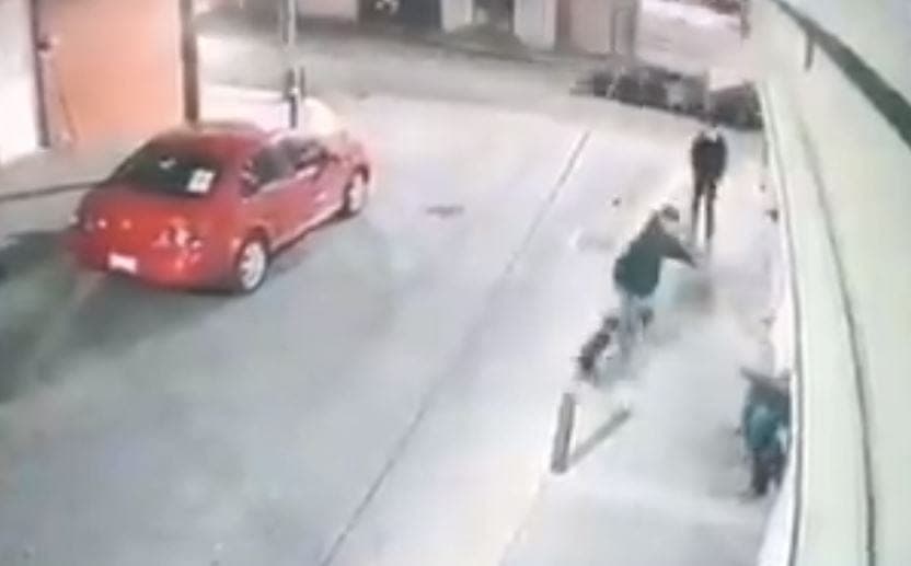 Video: Roban con violencia a niño de 10 años su perrito, lo están buscando