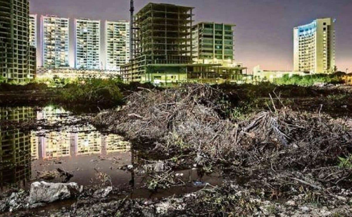 Cumple seis años defensa ciudadana de Tajamar; no llega castigo a ecocidas