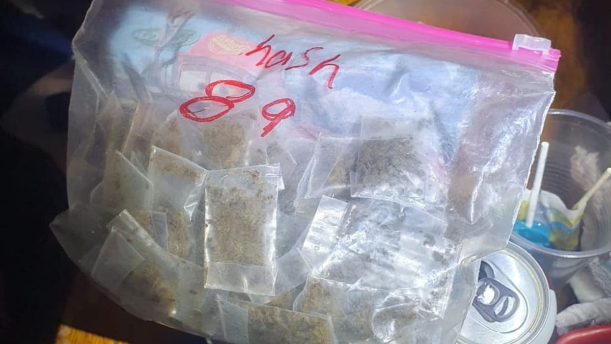 Hallan drogas dentro de local de TV por cable en Tulum