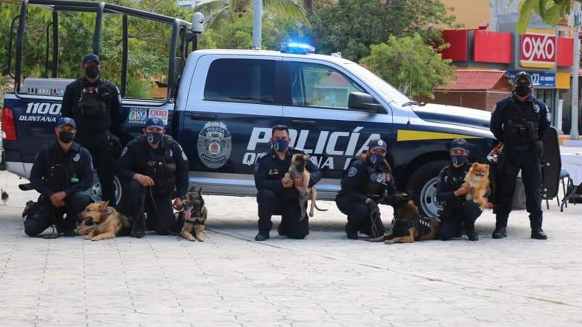 La Unidad Canina K9, con respaldo del C5, contribuye a prevenir y disuadir los delitos
