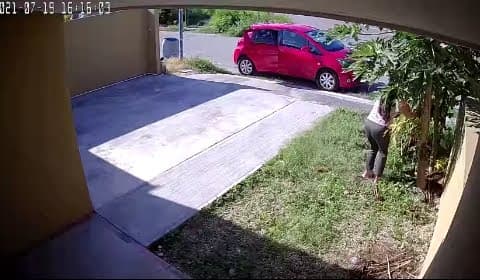 Surge #LadyPapayas en Mérida y quedó grabada en vídeo