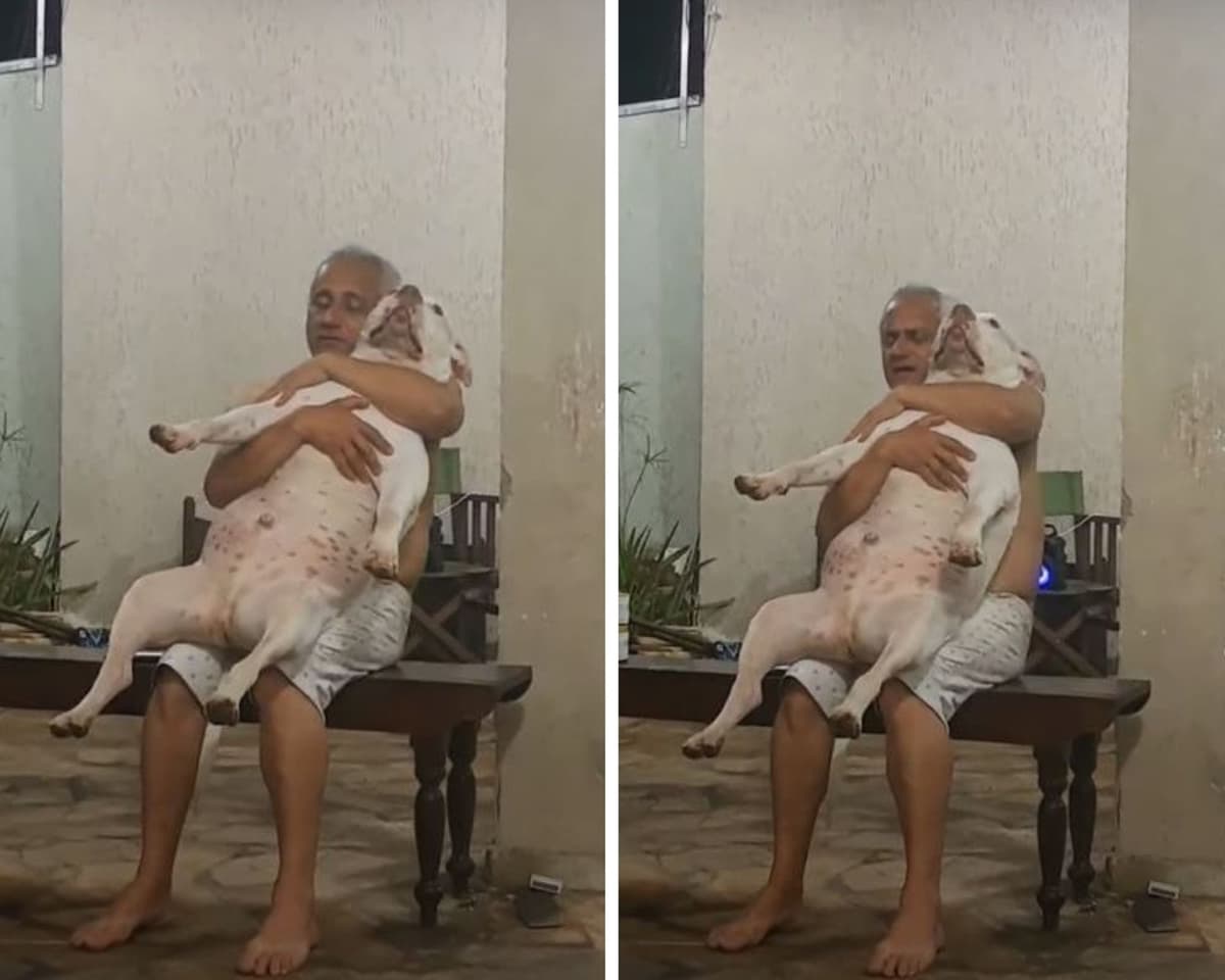 Graban a padre con el lomito adoptado luego de decir que 'odiaba a los perros' (VIDEO)