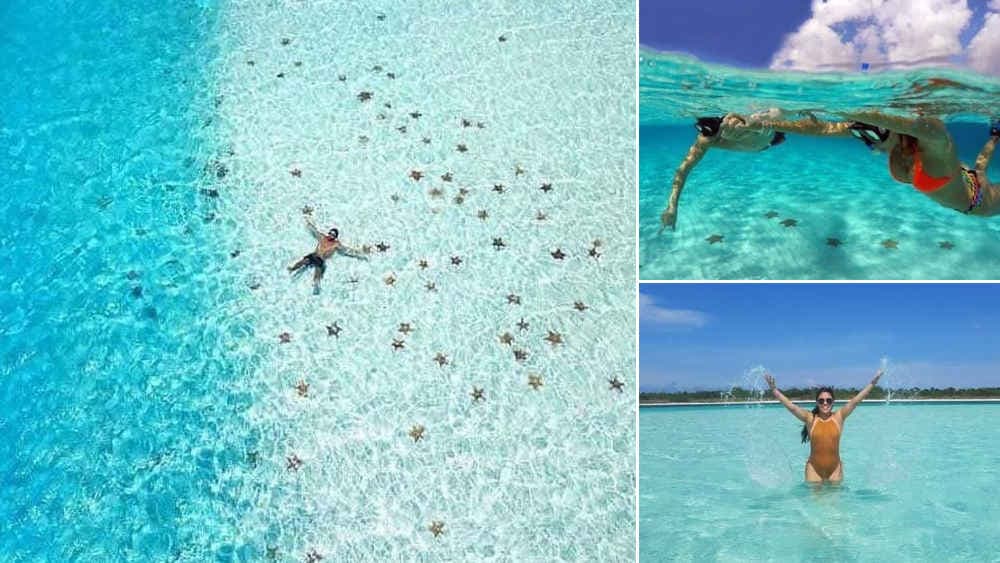 "El Cielo", el rincón de estrellas marinas de Cozumel