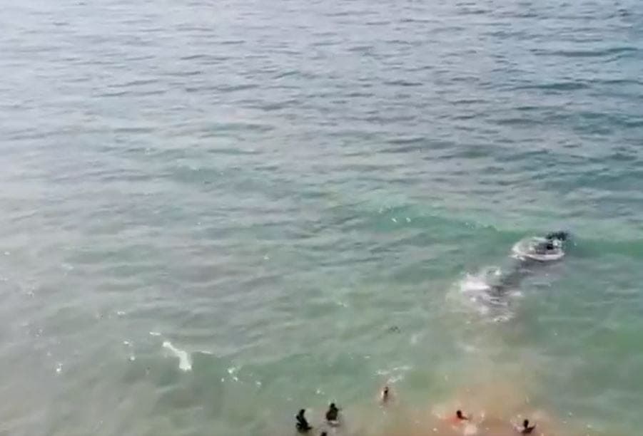 VIDEO: ¡Hermoso! Rescatan a ballena varada en Sonora y la regresan al mar