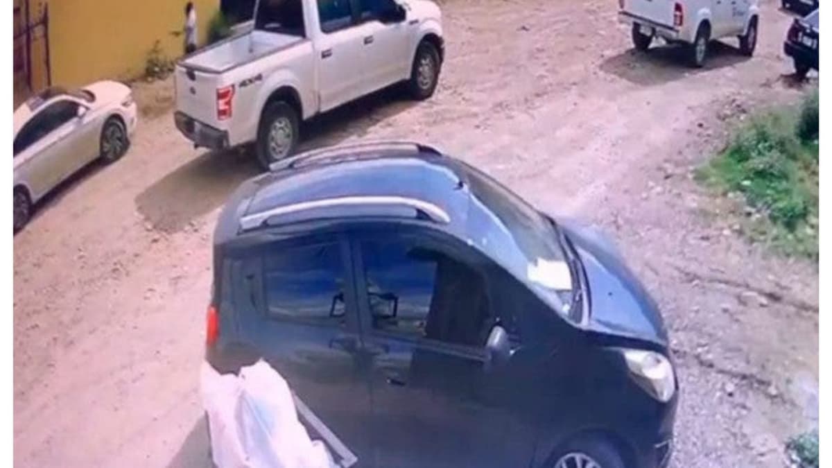 Video: Captan a policía matando a un perro mientras buscaba a un feminicida