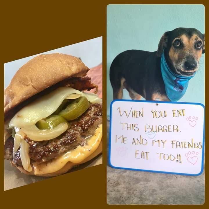 Restaurante de Puerto Morelos crea "Riki burger" para ayudar a refugio animal Riviera Rescue