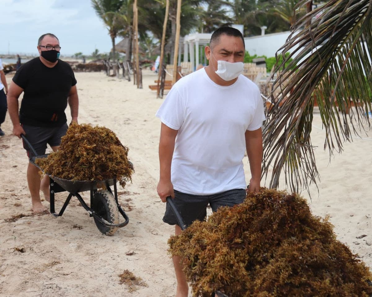 Participa Puerto Morelos en seminario nacional para atender fenómeno del sargazo