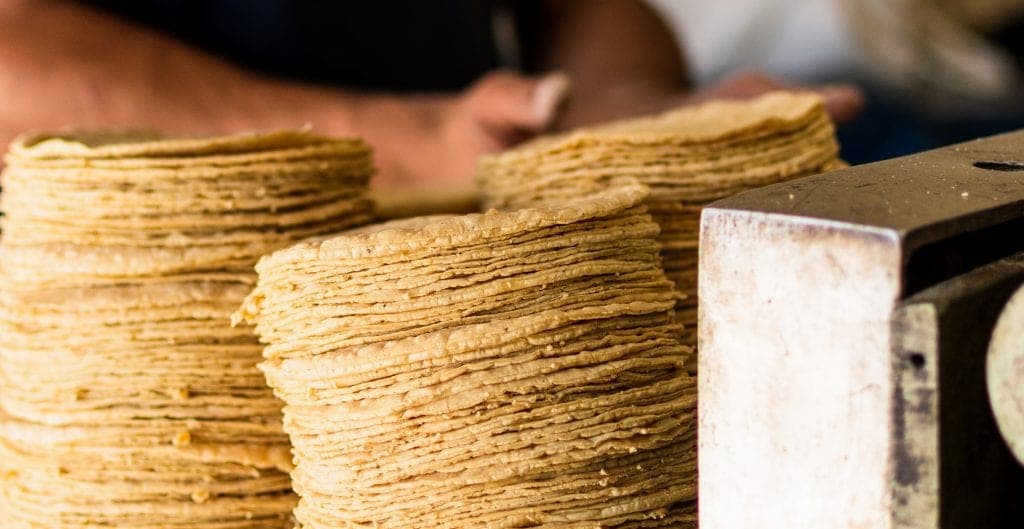 Sobrepasa los 20 pesos el kilo de tortilla en mayor parte del territorio nacional, de acuerdo con Profeco