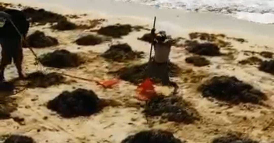 VIDEO VIRAL: Danza del 'After Grace' tras el paso del huracán en Puerto Morelos