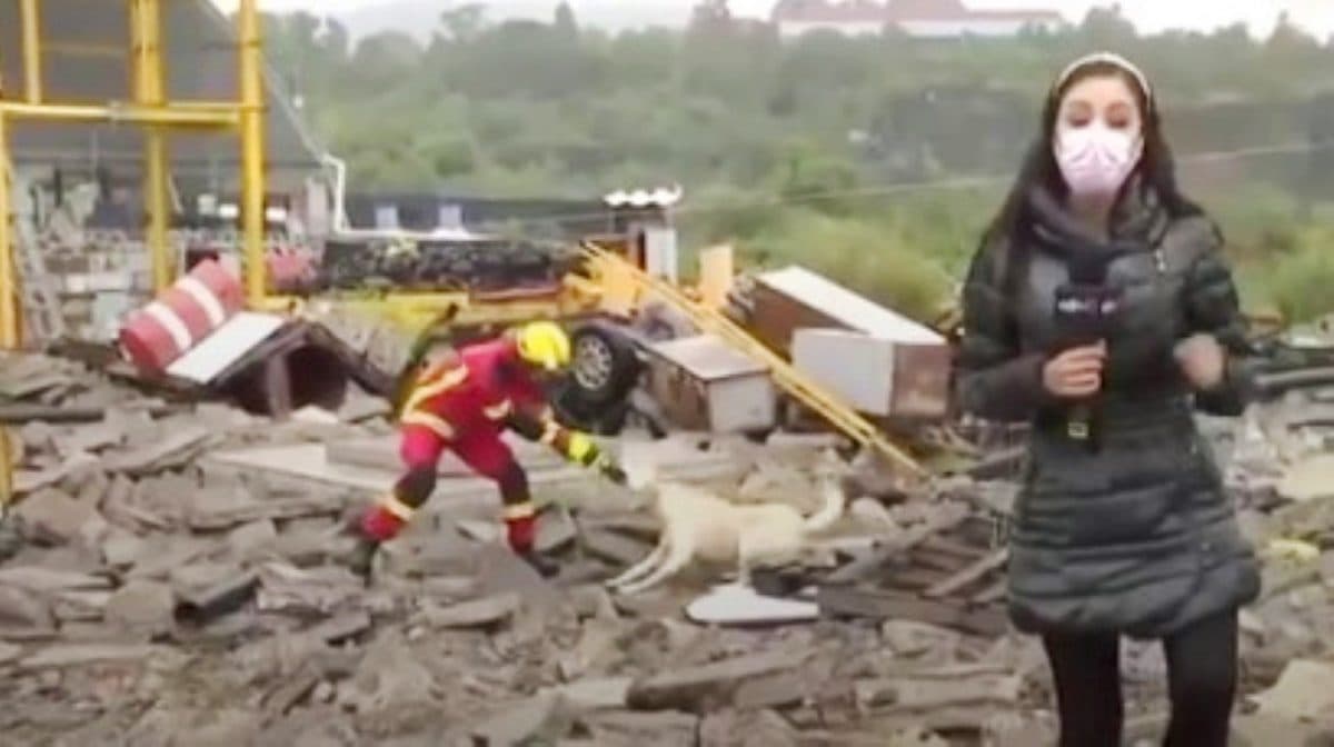 VIDEO: Un perrito y un bombero se pelean por un trapito durante una transmisión