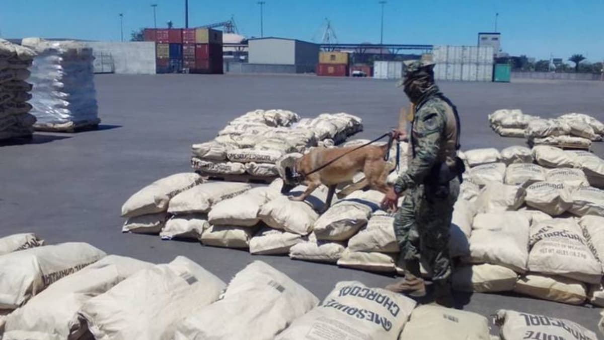 FGR decomisa una tonelada de metanfetamina y 300 mil pesos en 42 cateos