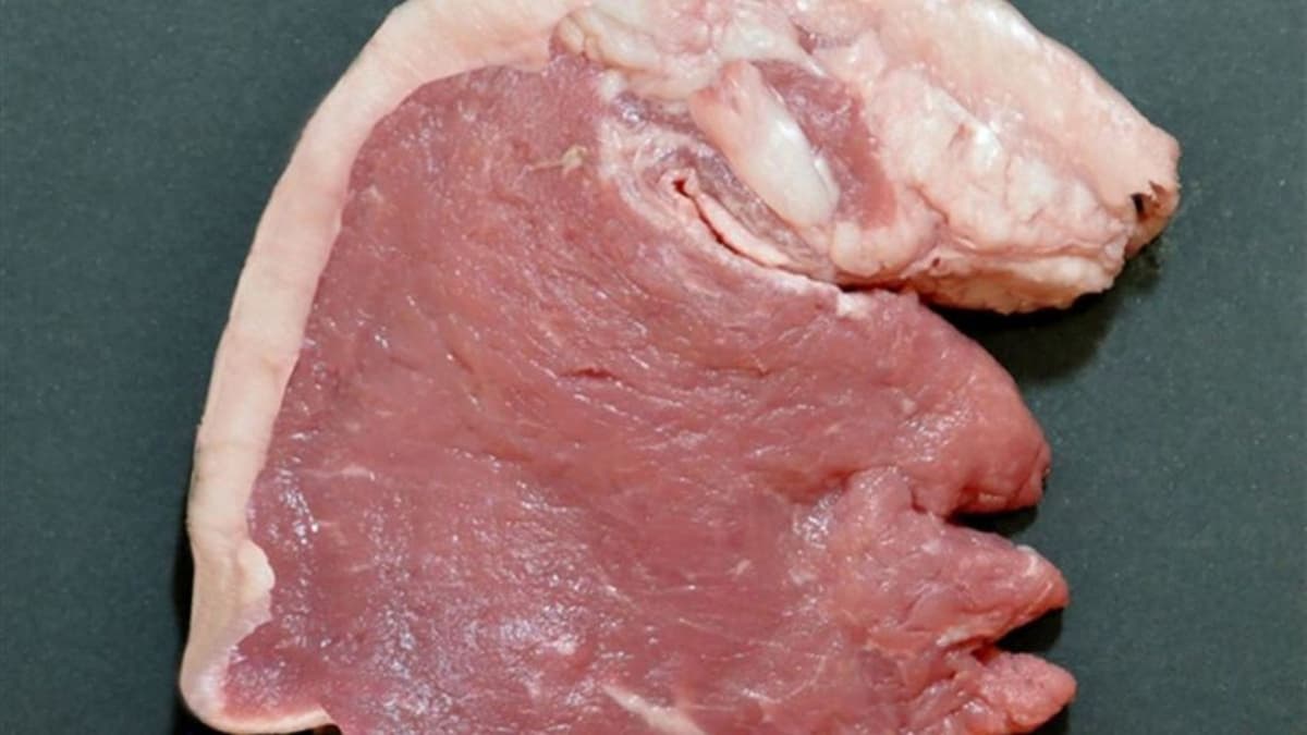 ¡VIRAL! Artista gana premio World Humor Awards por caricaturizar a Trump con una chuleta