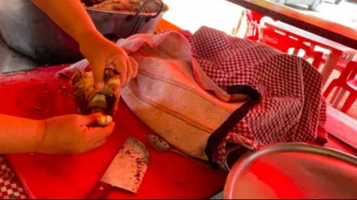 VIDEO: Aclaran que colmillo encontrado en barbacoa no es de perro