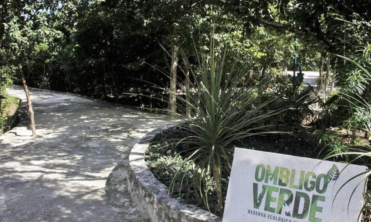 FOTO: Así es el nuevo proyecto de parque urbano para la reserva 'Ombligo Verde' en Cancún