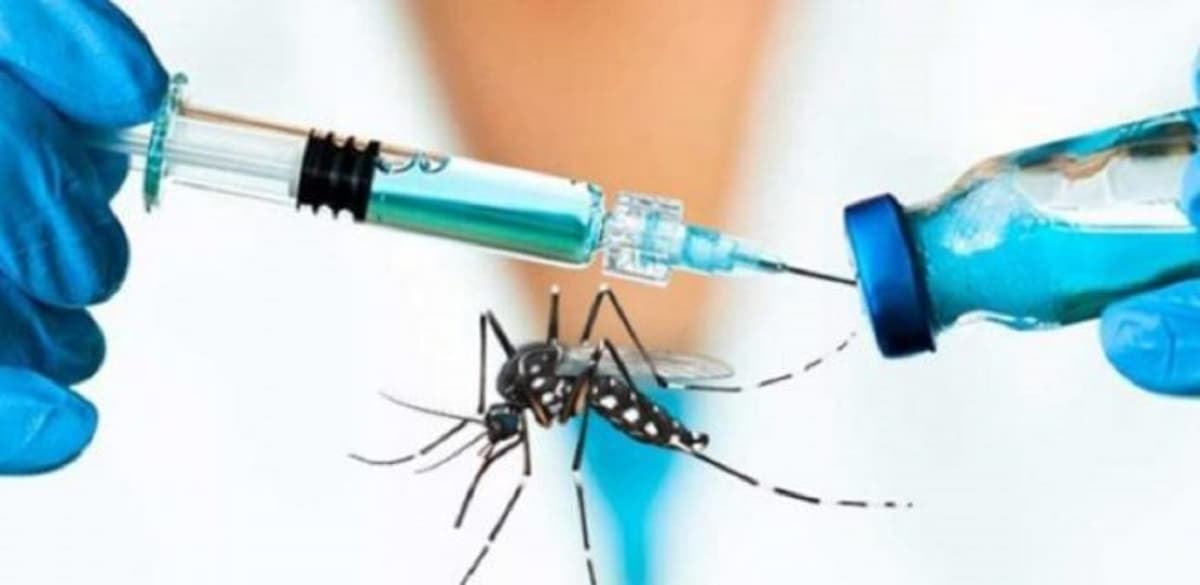 ¡Adiós chikungunya! Mexicanos crean vacuna contra esta enfermedad