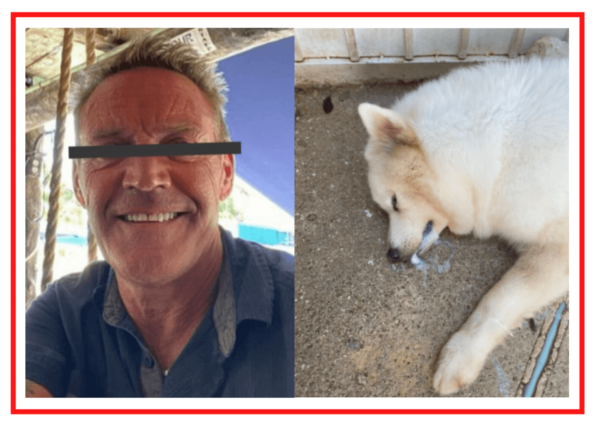 ¿Lo sacarán del país? Denuncian ante Migración al presunto MATAPERROS DE PLAYA DEL CARMEN