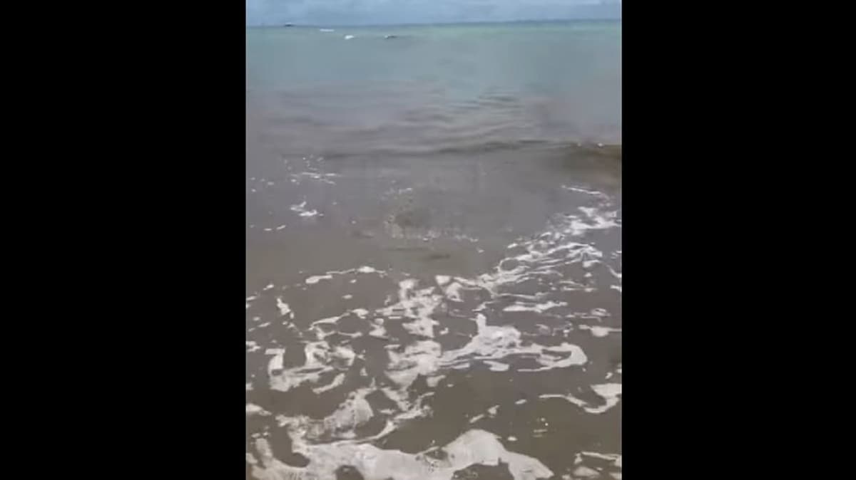 ¿Salida de cenote o descarga de aguas negras? Asombra fenómeno en el mar de Playa del Carmen