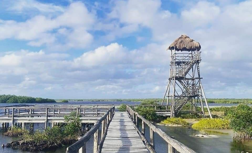Pronóstico del clima para este viernes 10 de septiembre en Cozumel