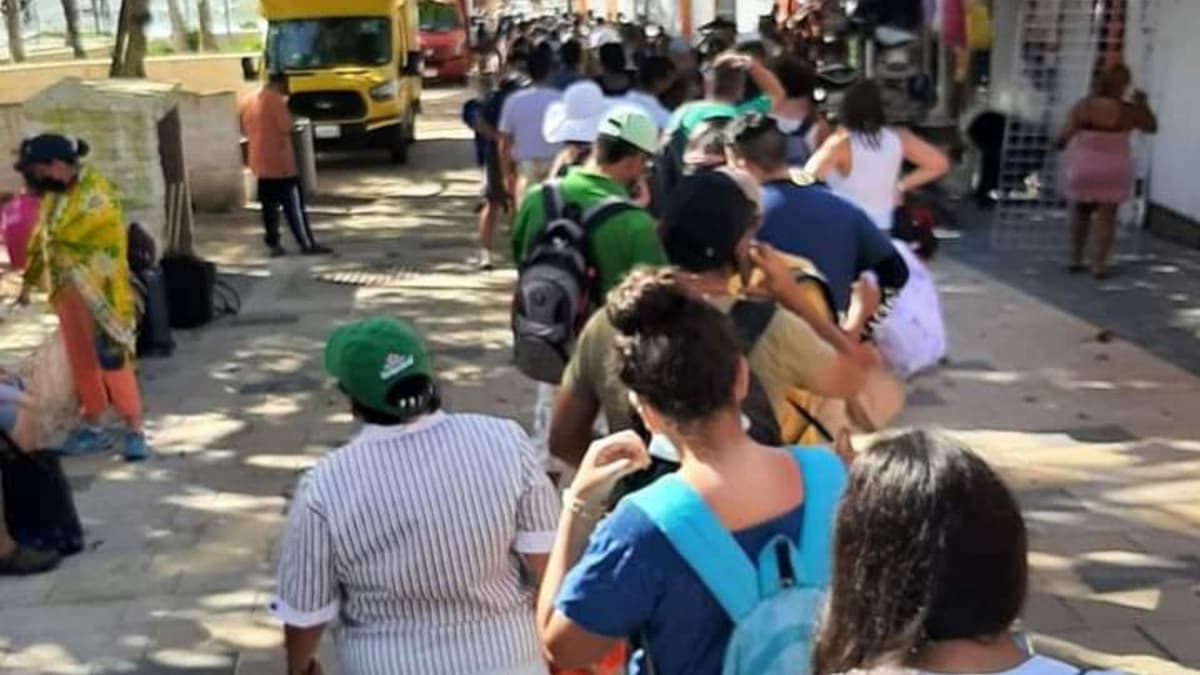 Incumple Ultramar con medidas sanitarias en cruce a Cozumel: COFEPRIS