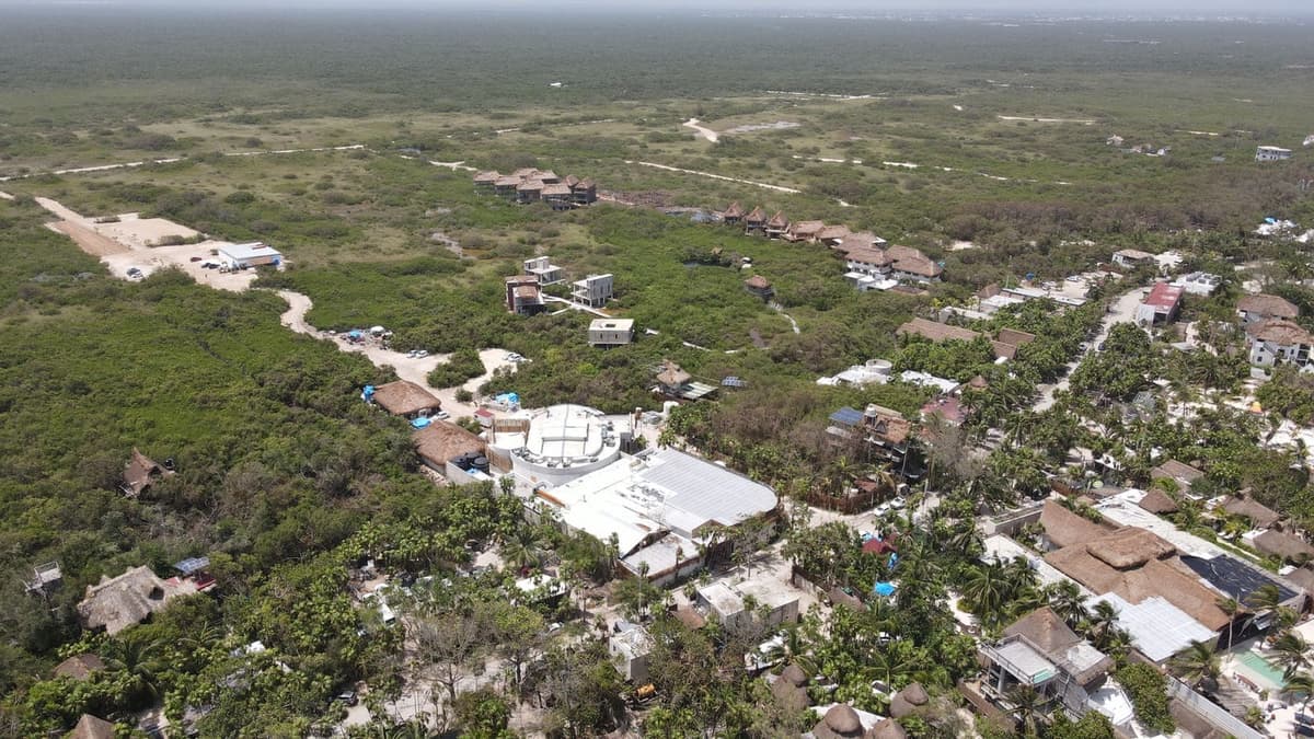 EMPRESAS ECOCIDAS EN TULUM: Destruyen mangle Grupo Anderson y Rosa Negra