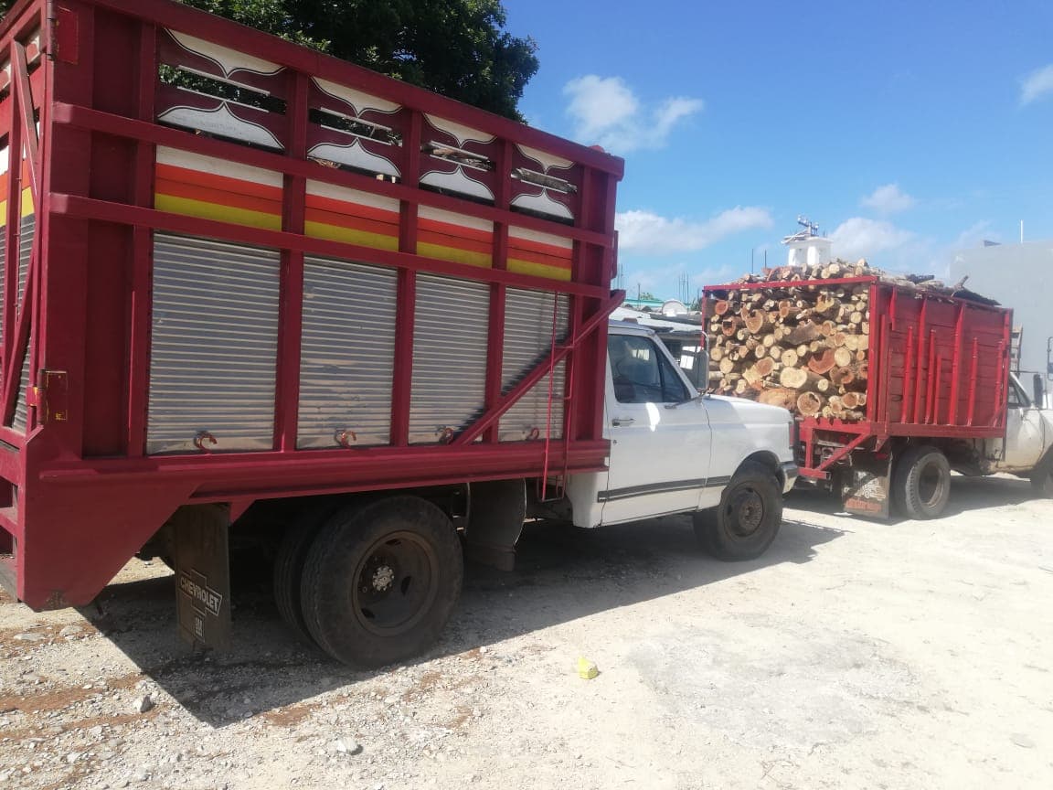 Incautan en Quintana Roo 101 metros cúbicos de madera de origen ilícito