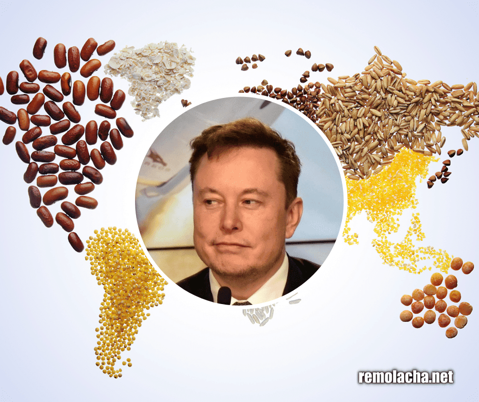 El hambre del mundo se podría resolver con solo el 2% de la riqueza de Elon Musk