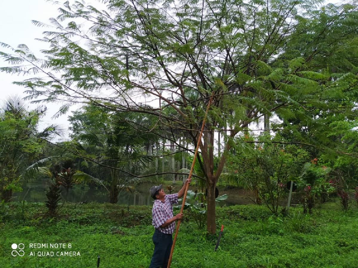 Galardonan con "Los Bóscares" las mejores prácticas empresariales en favor de los bosques