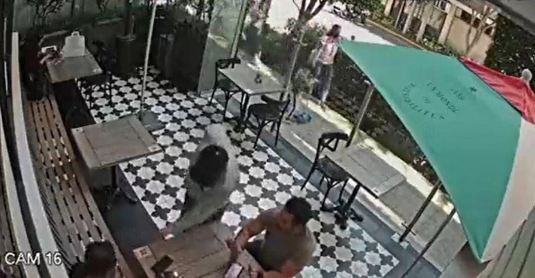 Video: Sujeto roba reloj en Polanco a plena luz del día y en segundos