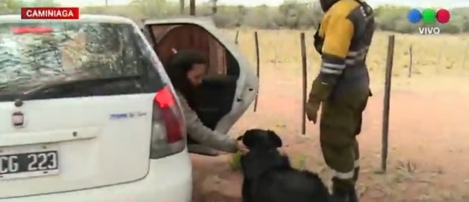 Familia argentina escapa de incendio, pero deja a su perro debajo del auto frente a cámaras de TV