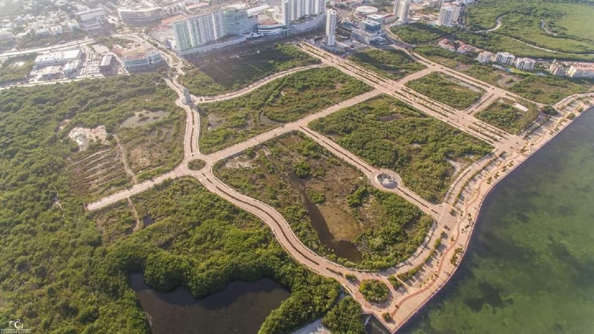 Eventos masivos en Tajamar dañan vida natural: ambientalistas buscarán intervención de la Guardia Nacional