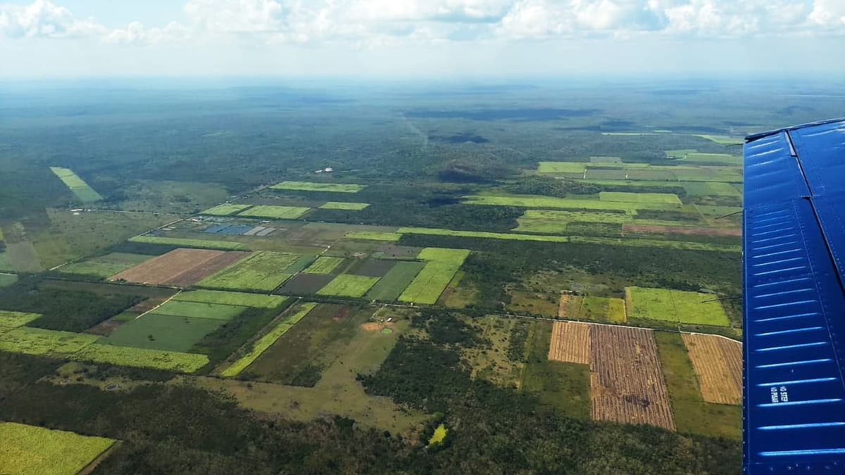 Quintana Roo promueve el desarrollo sustentable y las bajas emisiones de carbono
