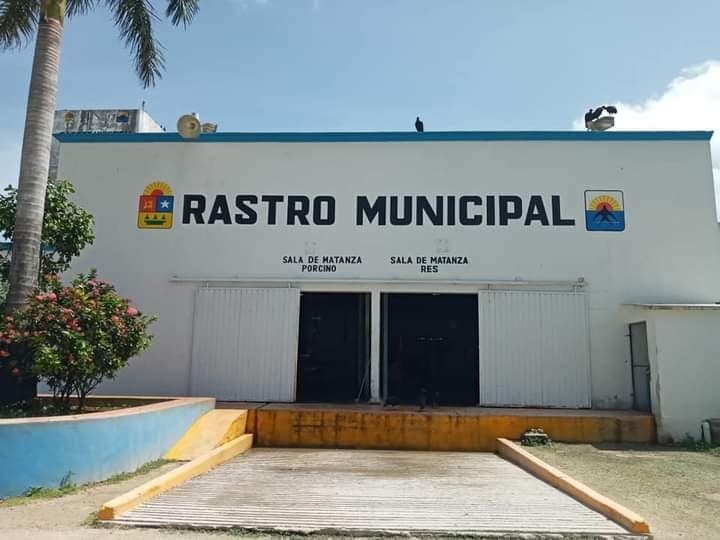 Investigan denuncias por corrupción y robos en el rastro de Cozumel