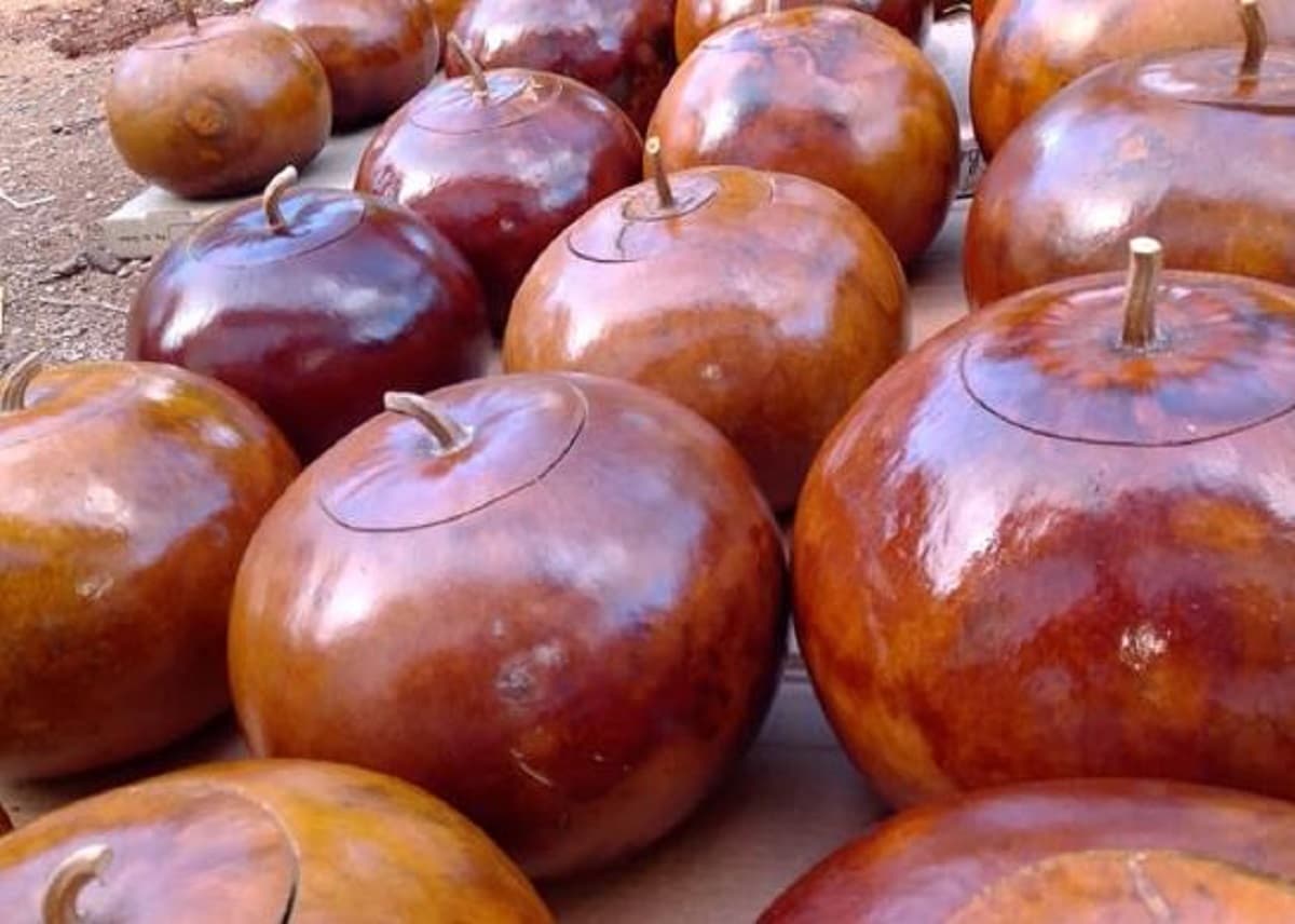 Artesano de Maní, Yucatán, preserva la tradición maya de trabajar el Lek