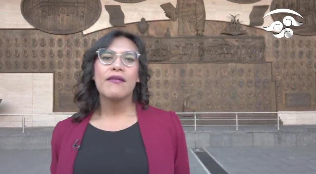 Video: Legisladora de Morena agrede a personal de la Cámara de Diputados