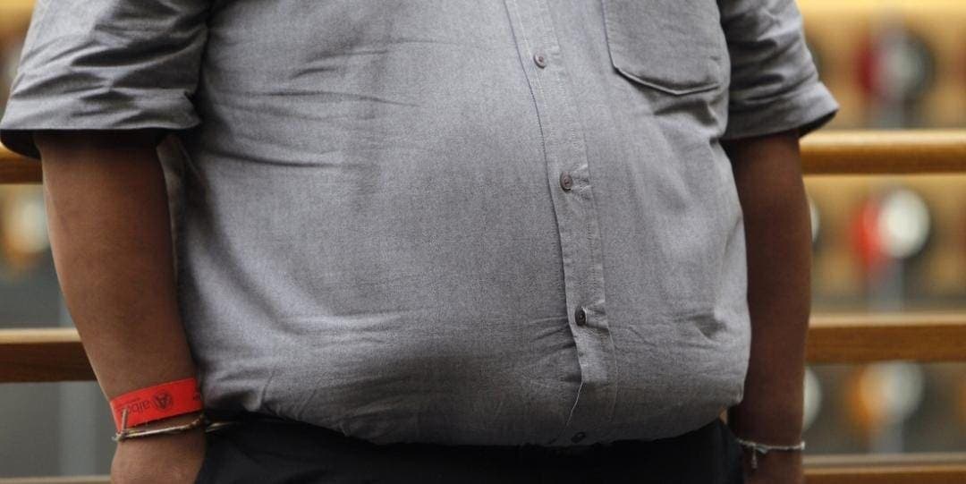 Científicos descubren una proteína que podría reducir riesgo de obesidad