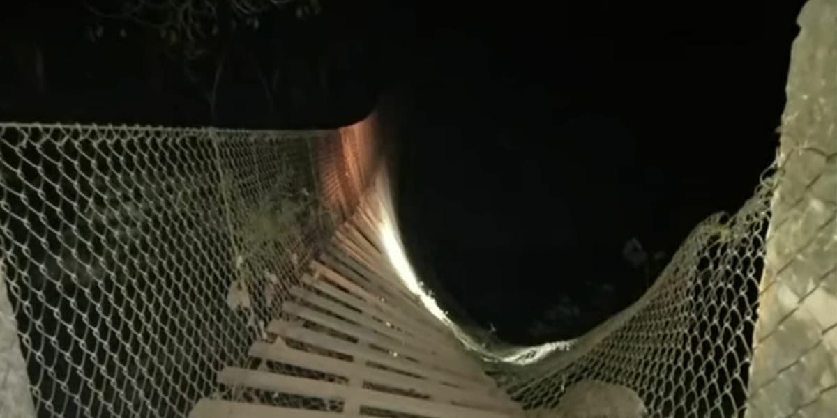 Oaxaca: Puente colgante se desploma y deja al menos 30 heridos