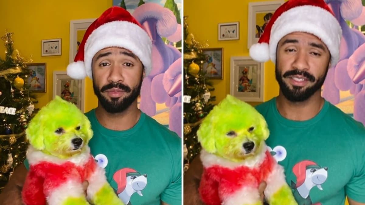 Acusan a peluquero canino de maltrato animal por teñir a un perro de verde 'como El Grinch'
