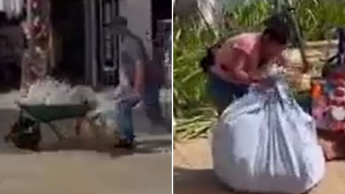 ¡MEJOR HUYEN! Captan a ambulantes corriendo ante presencia de fiscales en la Quinta Avenida