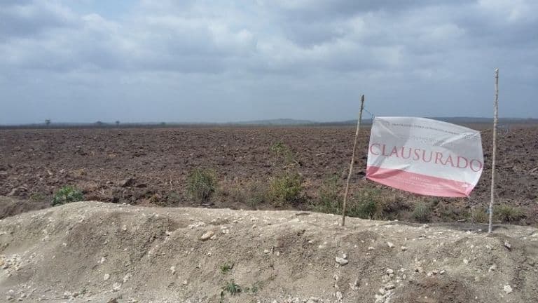 Conafor con la mira puesta en asentamientos menonitas en el sur de Q.Roo