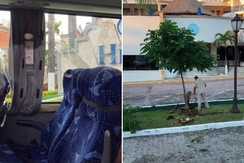 VIDEO: Sorprenden al hotel Hilton Playa del Carmen talando árboles en camellones