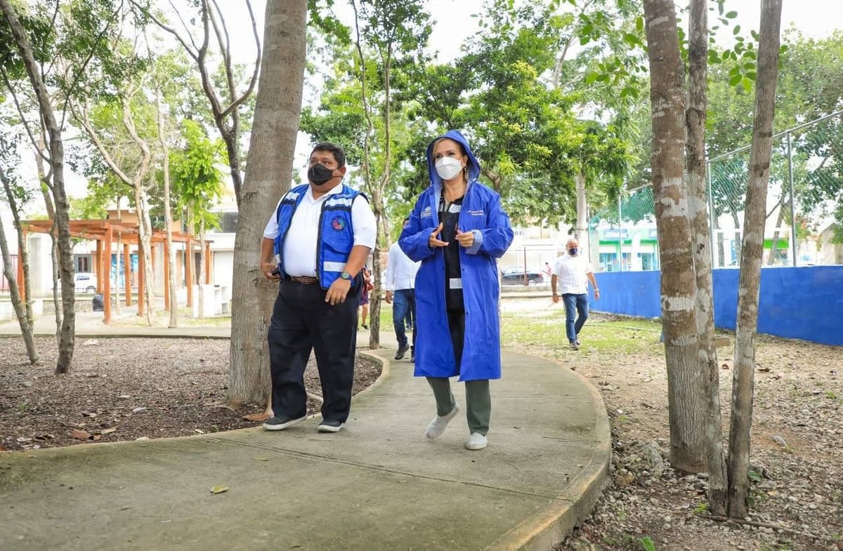 En tres meses Playa del Carmen va tomando orden; es una ciudad limpia y reforestada