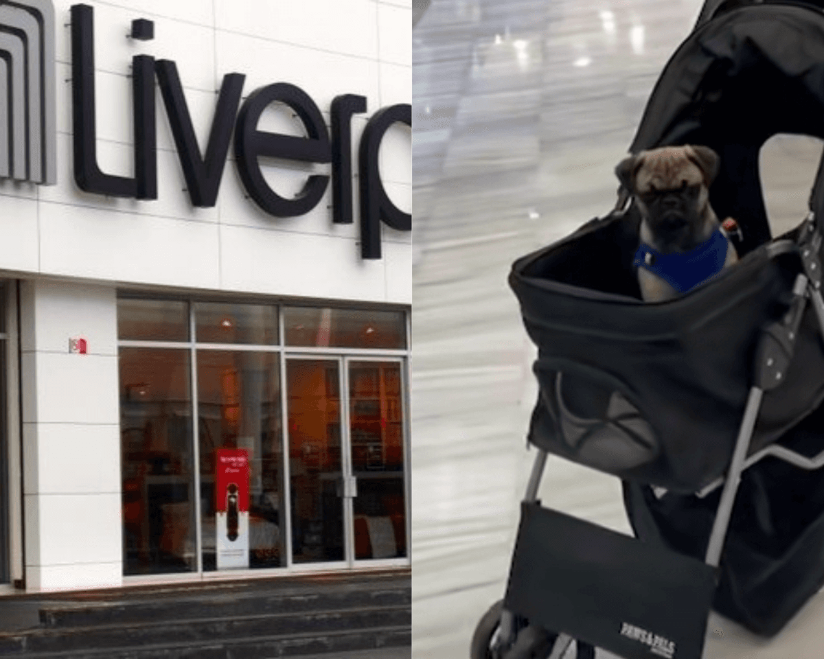 Liverpool Playa del Carmen es la onda: te presta carriolas para que tus perrhijos entren a la tienda