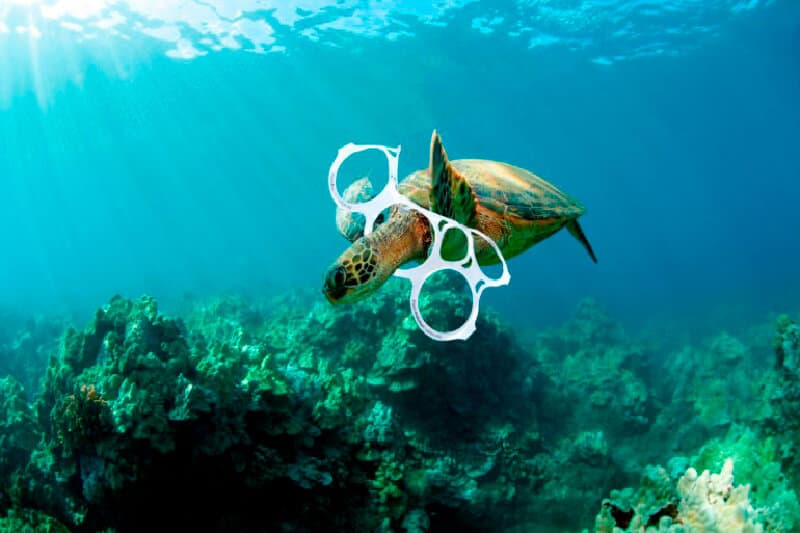 Grupo Modelo eliminará anillos de plástico en sus latas de cerveza en Quintana Roo