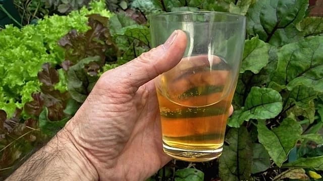 ¡Mega foo! Antivacunas invita a sus seguidores a beber orina como cura para el Covid